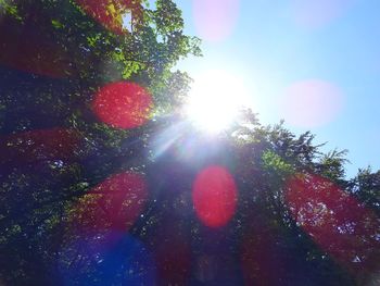 Low angle view of tree against sky