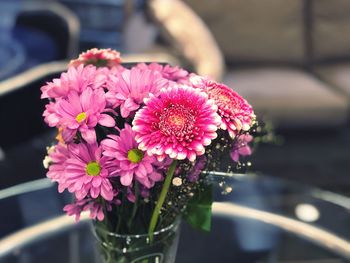 Close-up of pink flower pot