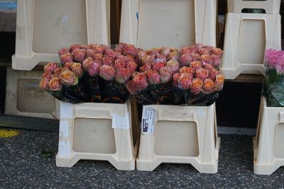 Flowers in pot for sale