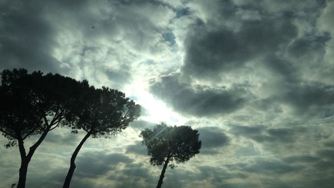 sky, cloud - sky, tree, cloudy, low angle view, tranquility, tranquil scene, beauty in nature, silhouette, nature, scenics, weather, cloud, growth, outdoors, no people, overcast, sunset, branch, idyllic