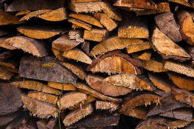 Full frame shot of logs in forest