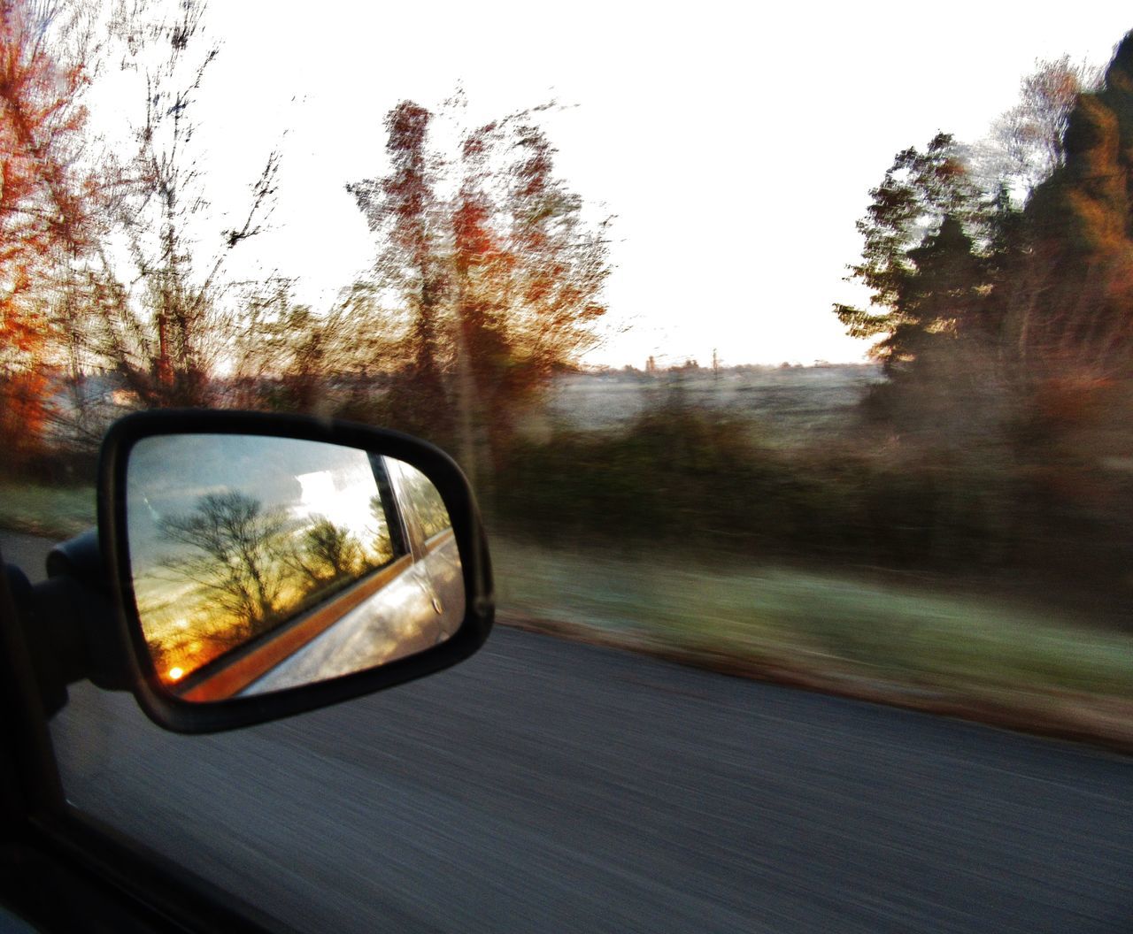 REFLECTION OF TREES ON SIDE-VIEW MIRROR AGAINST SKY