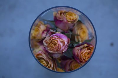 Close-up of roses in glass