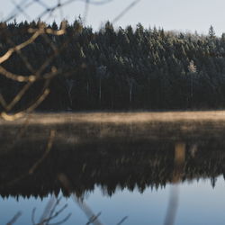 Reflection of trees in lake against sky