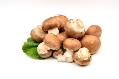 Close-up of bread against white background