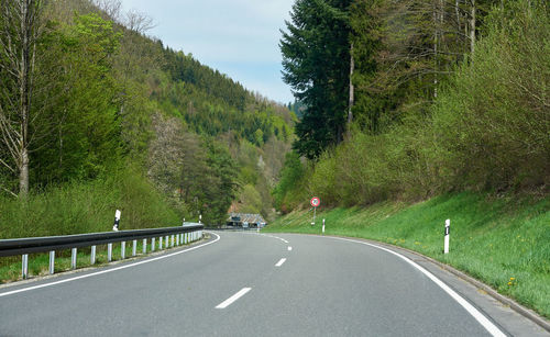 Landscape with an asphalt road through a forest in germany