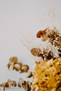 Close-up of dry leaves on flowering plant