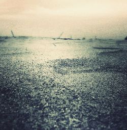 Close-up of wet shore against sky