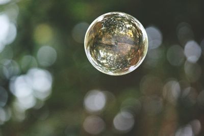 Low angle view of soap bubble in mid-air