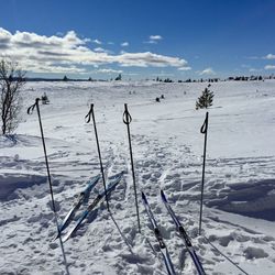 Mountain skiing in norway