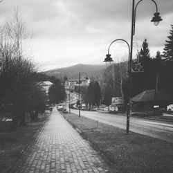 Street amidst trees against sky in city