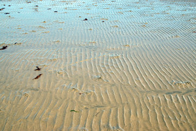 Full frame shot of a beach