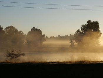 Silhouette trees on field against sky during foggy weather