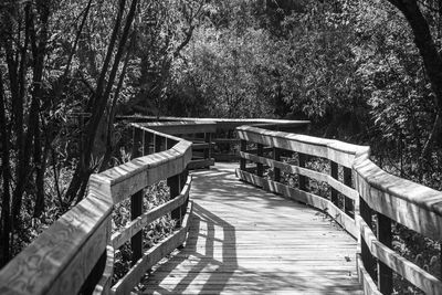 Footbridge amidst trees