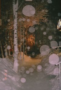 Reflection of trees in puddle on street at night