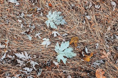 Full frame shot of water