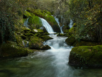 Scenic view of waterfall in forest