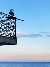 Low angle view of bird perching on sea against sky