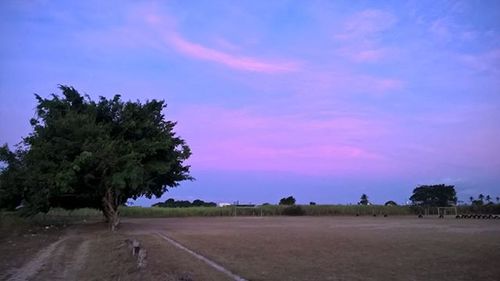 Road passing through field