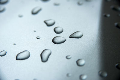 Full frame shot of water drops on table