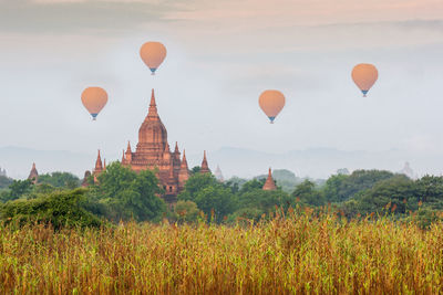 View of hot air balloons in sky