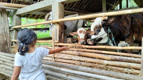 Full length of baby girl in pen