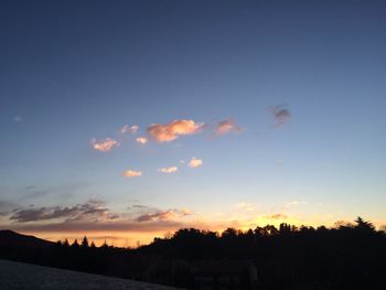 Silhouette trees against sky during sunset