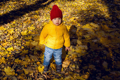 Boy in a yellow jacket and a red knitted hat stands in the autumn forest