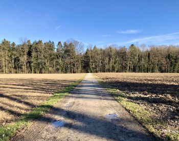 Road amidst trees against sky