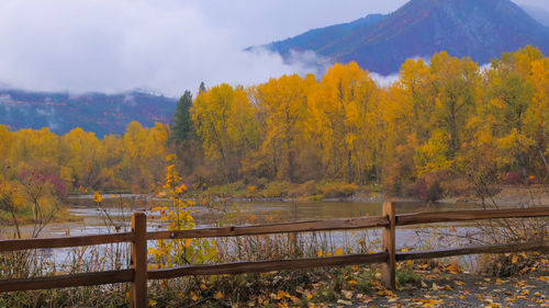 Scenic view of trees during autumn