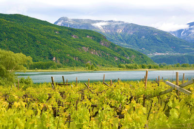 Scenic view of lake and mountains against sky