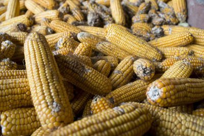 Corns for sale at market