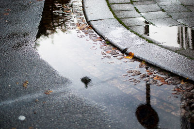 Reflection of clouds in puddle