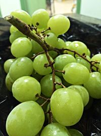 Close-up of grapes