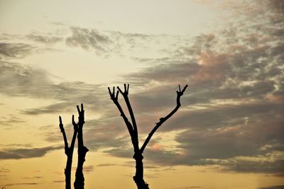 Silhouette of bare tree against cloudy sky