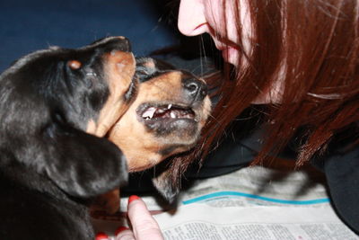 Close-up portrait of dog