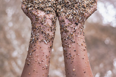 Cropped hands of person covered with stones