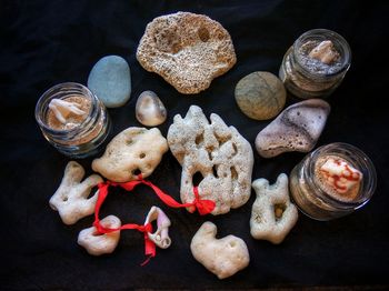 High angle view of corals on table