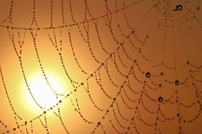 Full frame shot of wet spider web against sky during sunset