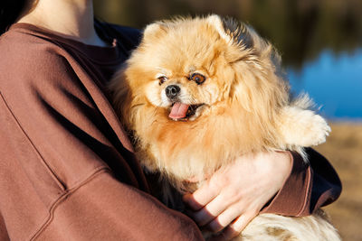 Midsection of woman holding dog