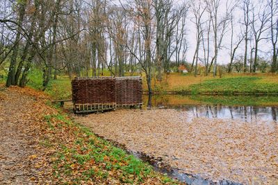 Park against sky during autumn