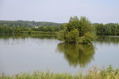 Scenic view of lake in forest against sky