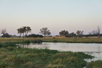 Scenic view of river against sky