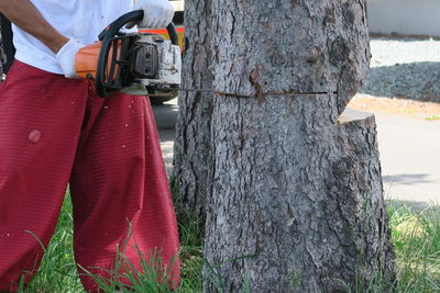 Man working on tree trunk