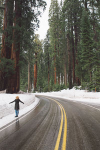 Man walking on road along trees