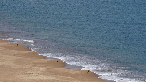 Scenic view of beach