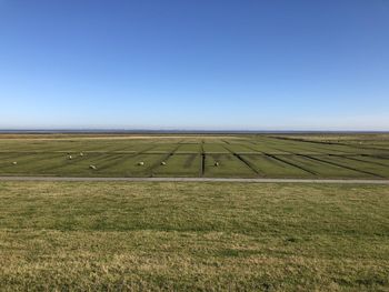 Scenic view of field against clear blue sky