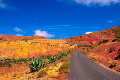 Canary islands. fuerteventura countryside. desert road. travel vacation concept stylish banner