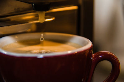 Close-up of coffee cup