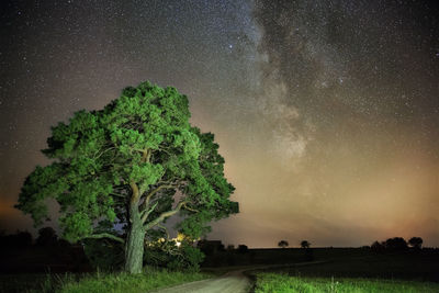 Scenic view of trees against sky at night